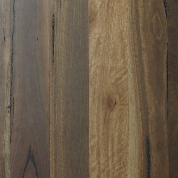 Spotted Gum Feature Grade
